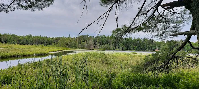 Laurel Lake Campground 10