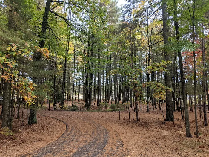 Laurel Lake Campground 9
