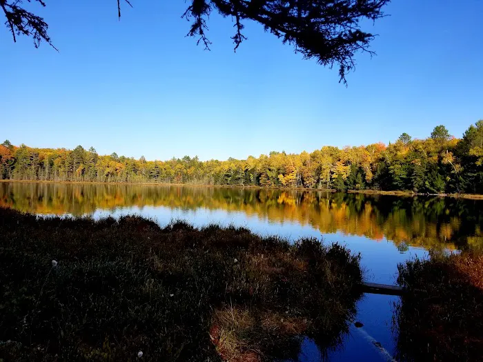 Indian Camp Lake campsite 2