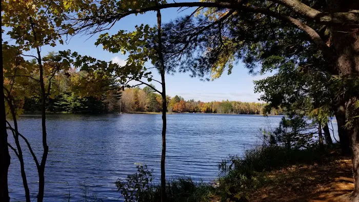 McKinley Lake Campsite 1