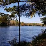McKinley Lake Campsite