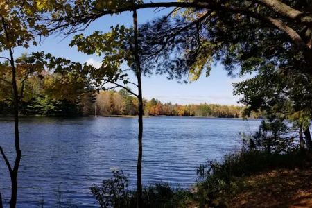 McKinley Lake Campsite