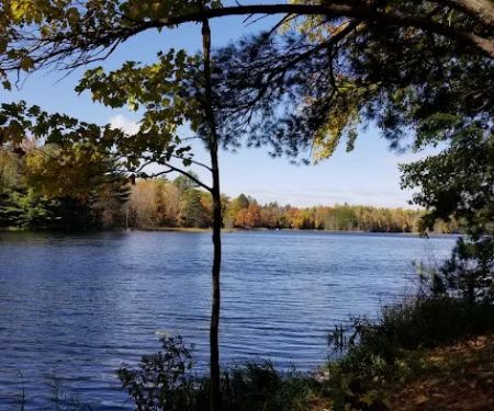 McKinley Lake Campsite