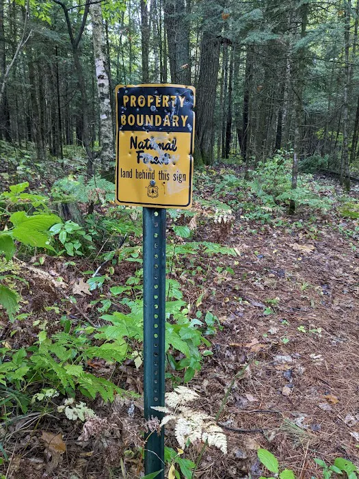 Cooper Dam Campground 5