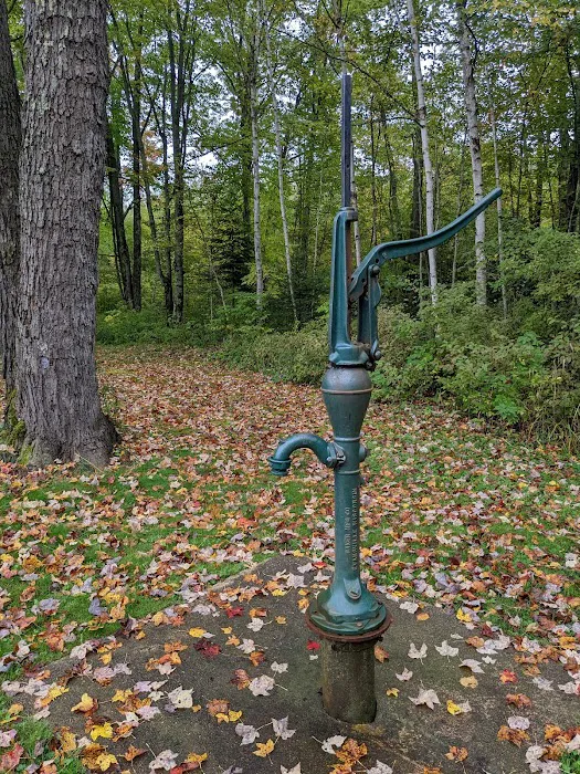 Cooper Dam Campground 8