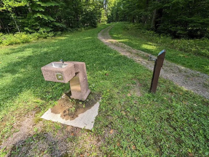 Chippewa Campground 8