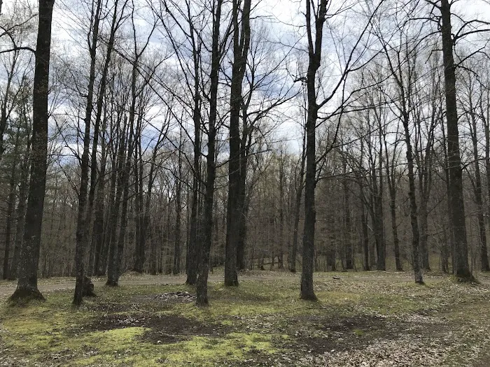 Chequamegon Waters Dispersed Recreation Area 1