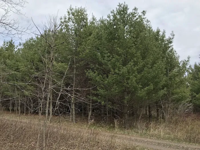 Chequamegon Waters Dispersed Recreation Area 7