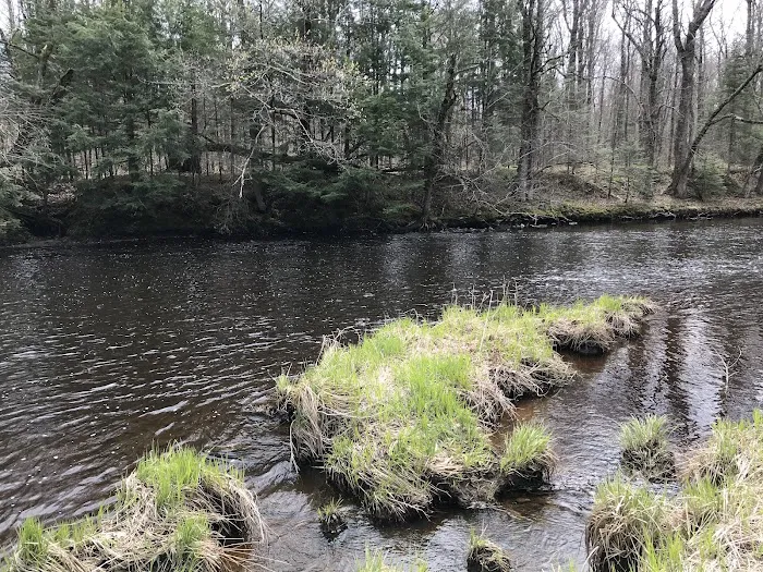 Chequamegon Waters Dispersed Recreation Area 6