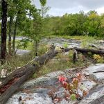 Big Falls County Park & Campground