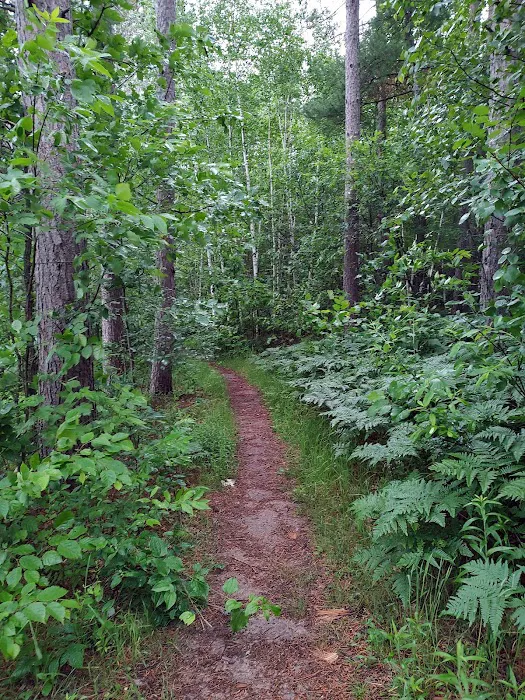 Big Falls County Park & Campground 6