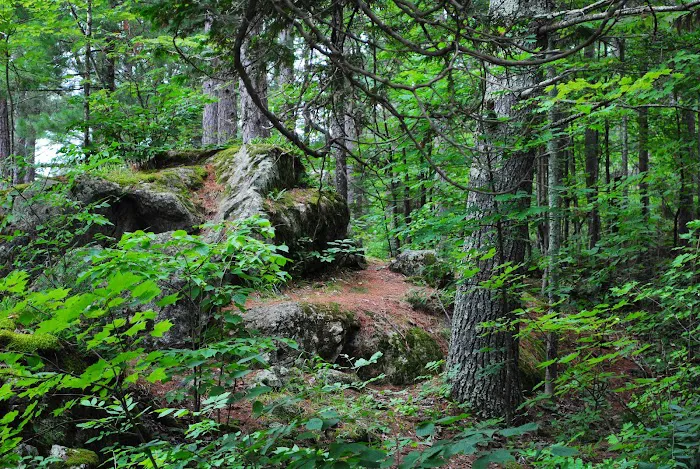Big Falls County Park & Campground 7
