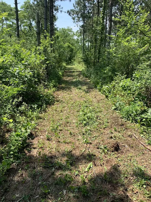 Holden Campground 6