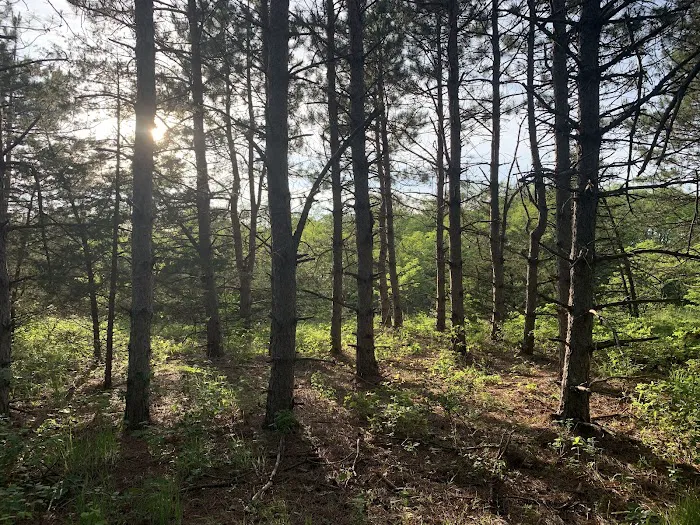 Holden Campground 9