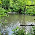 Carley State Park Campground