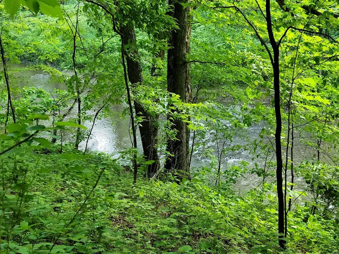 Carley State Park Campground 5