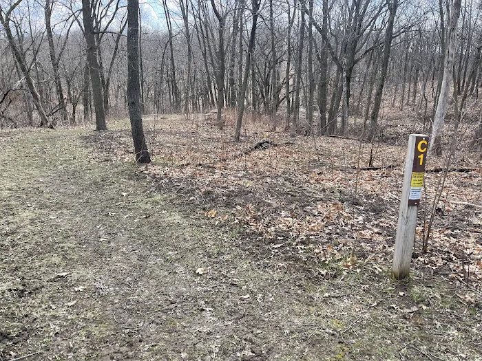 Cart-in Campground 8