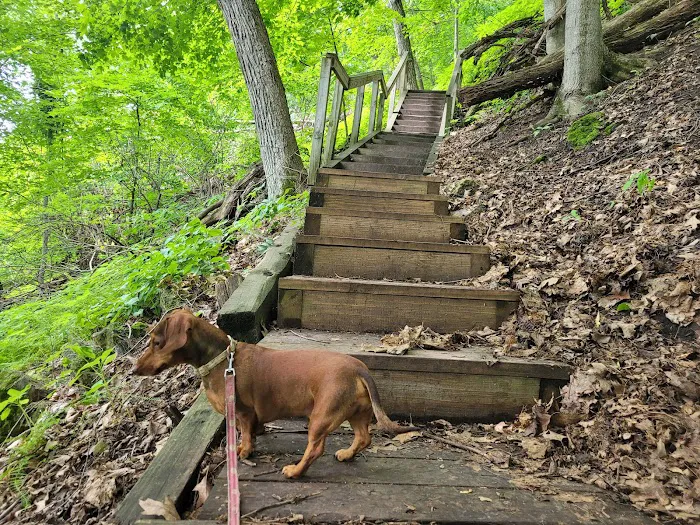 Frontenac State Park Campground 6