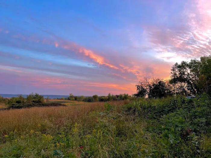 Frontenac State Park Campground 8