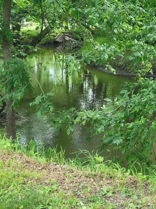 River View Campground 4