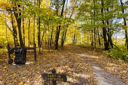 Cart-In Campsites