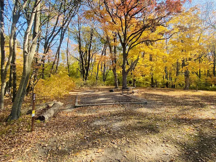 Cart-In Campsites 7