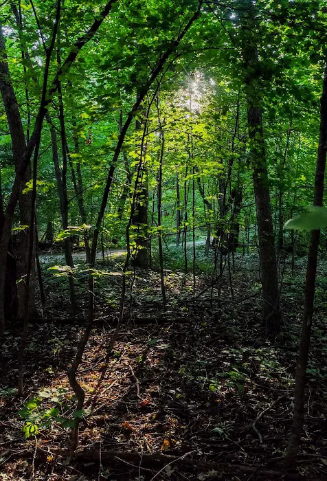Rice Lake State Park Campground 5
