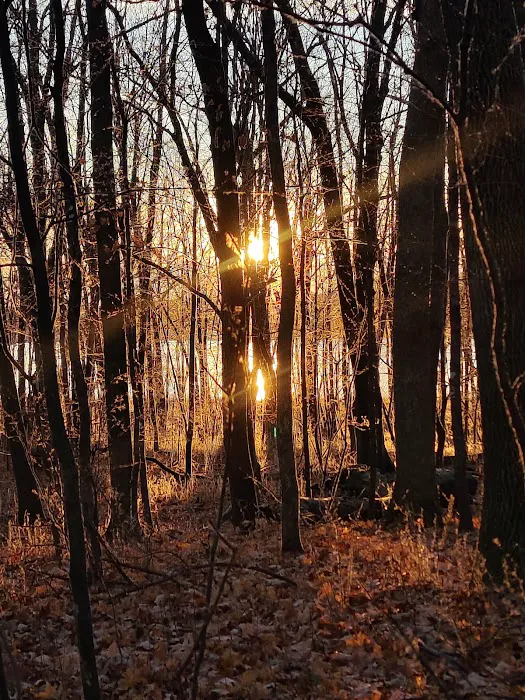 Rice Lake State Park Campground 7
