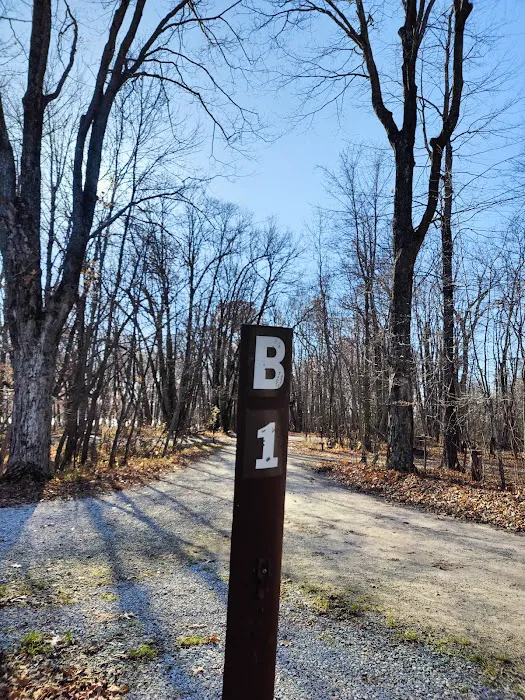 Rice Lake State Park Campground 8