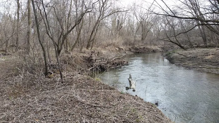 Creek Park 5