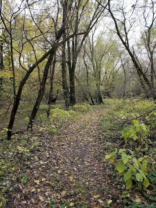 Creek Park 8