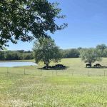 Huntsville Storage & RV Park