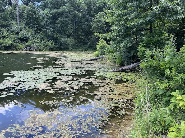Thompson Campground 10