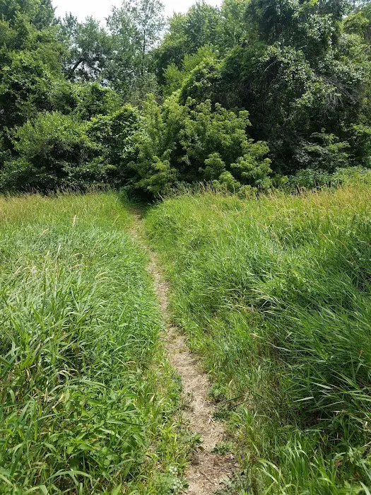 Raccoon river annex shangra la 6