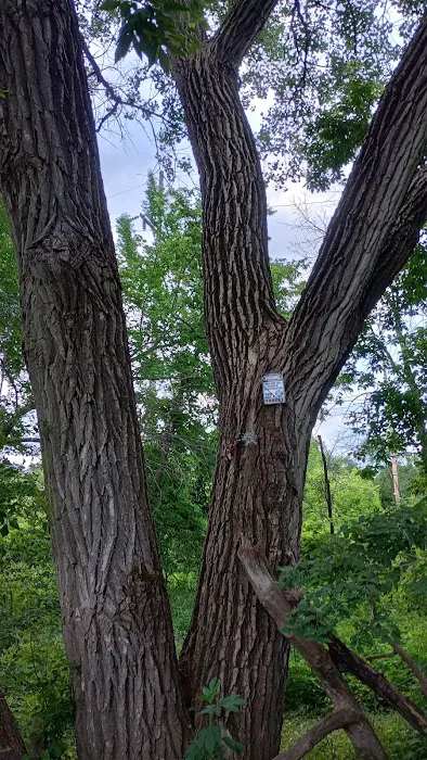 Raccoon river annex shangra la 3