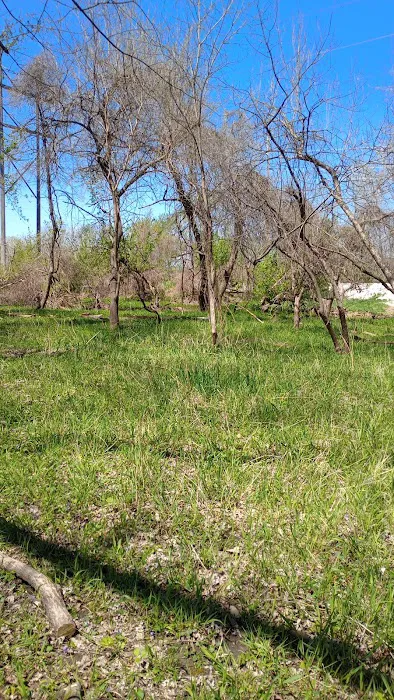 Raccoon river annex shangra la 9