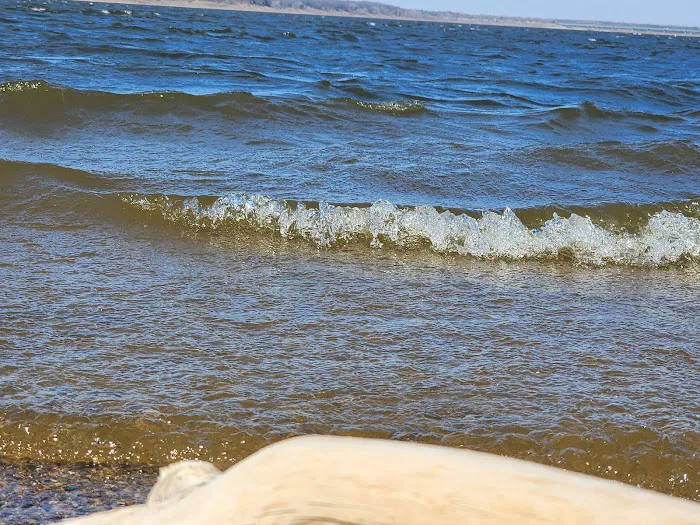 Oak Grove Beach 7