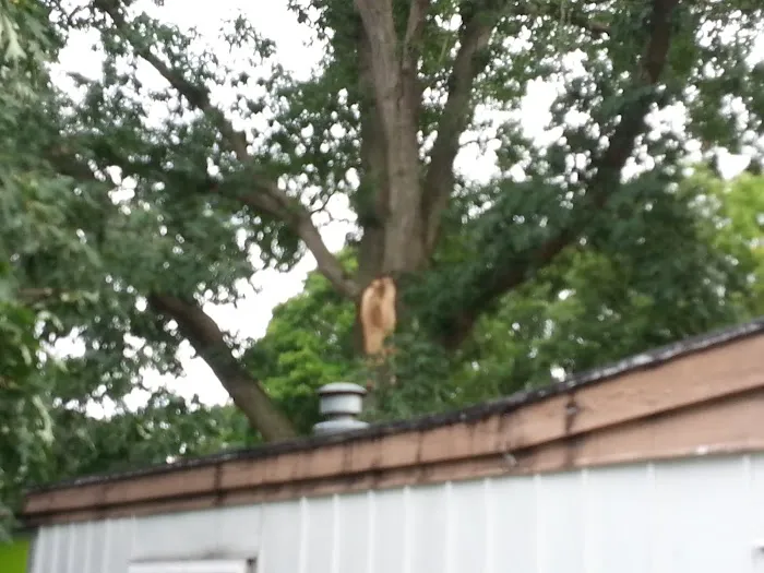 Holiday Terrace Mobile Home Park 8