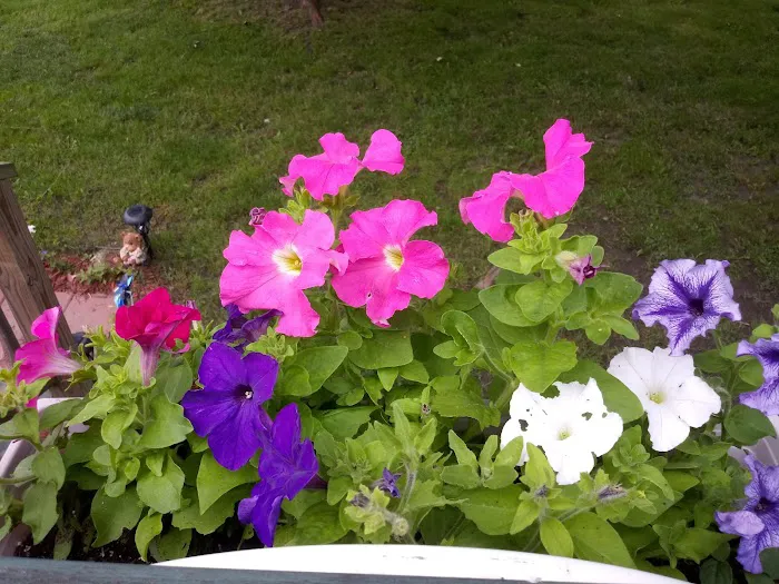 Country Manor Mobile Home Park 10