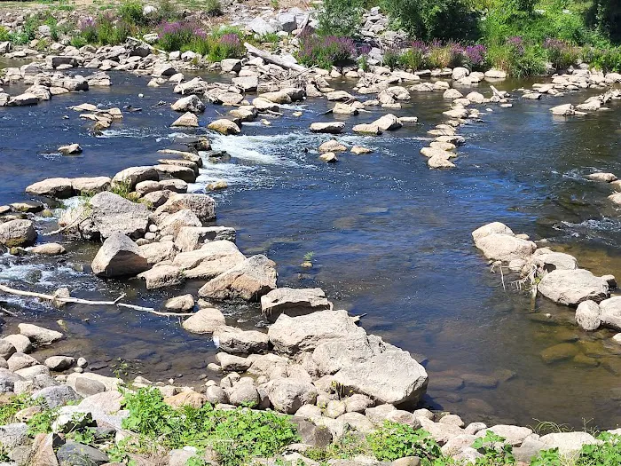 Chesaning Showboat Camping 10
