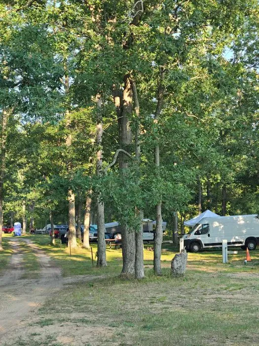 Karner Blue Campground 3