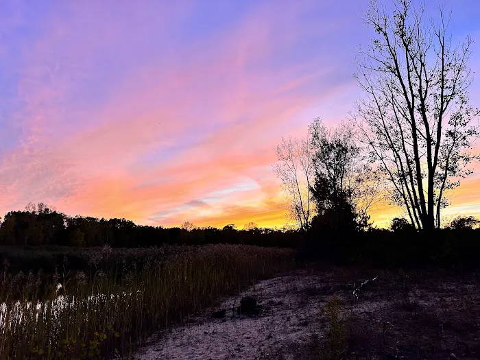 Karner Blue Campground 8