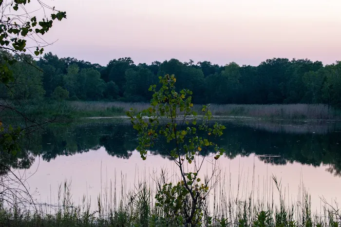 Karner Blue Campground 9