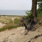 Johnson's Trailer Resort