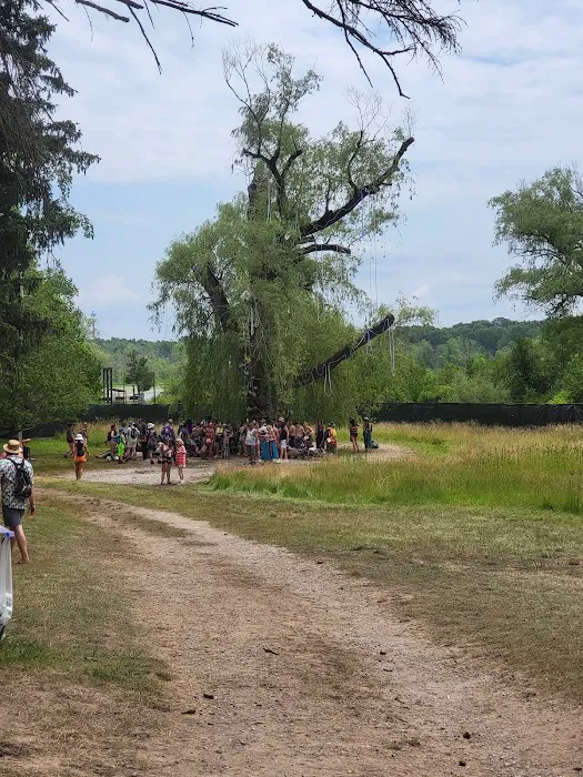 Camp Higher Love 3