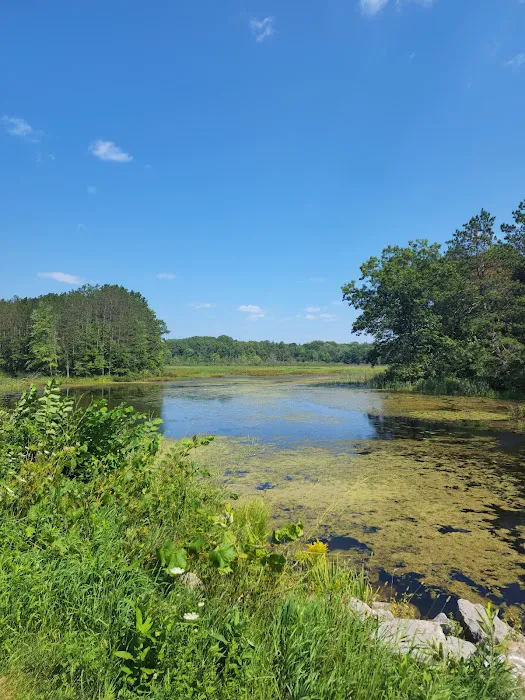 Minnie Pond Campground 1