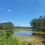 Minnie Pond Campground