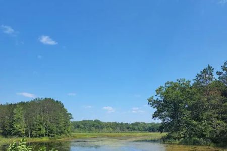 Minnie Pond Campground