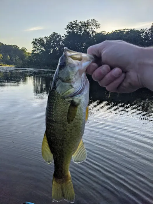 Minnie Pond Campground 5