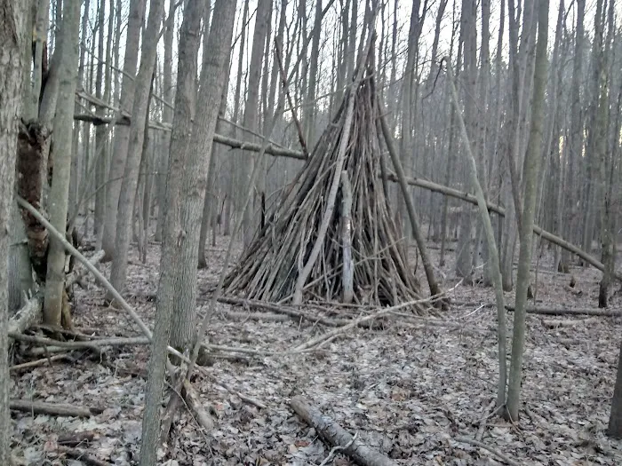 Minnie Pond Campground 10